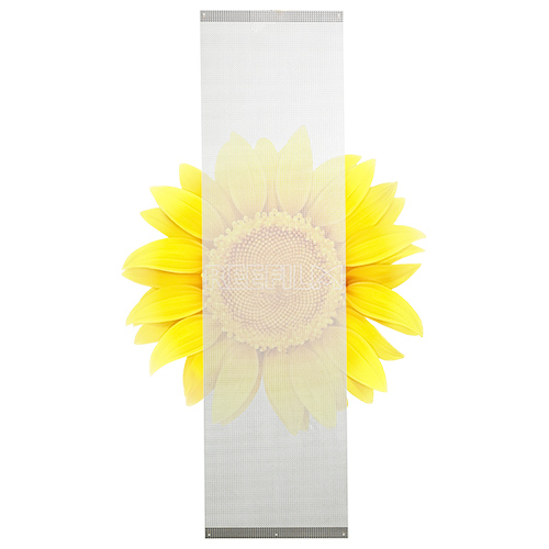 Holographic LED Screen Display RS/RL-P3.91